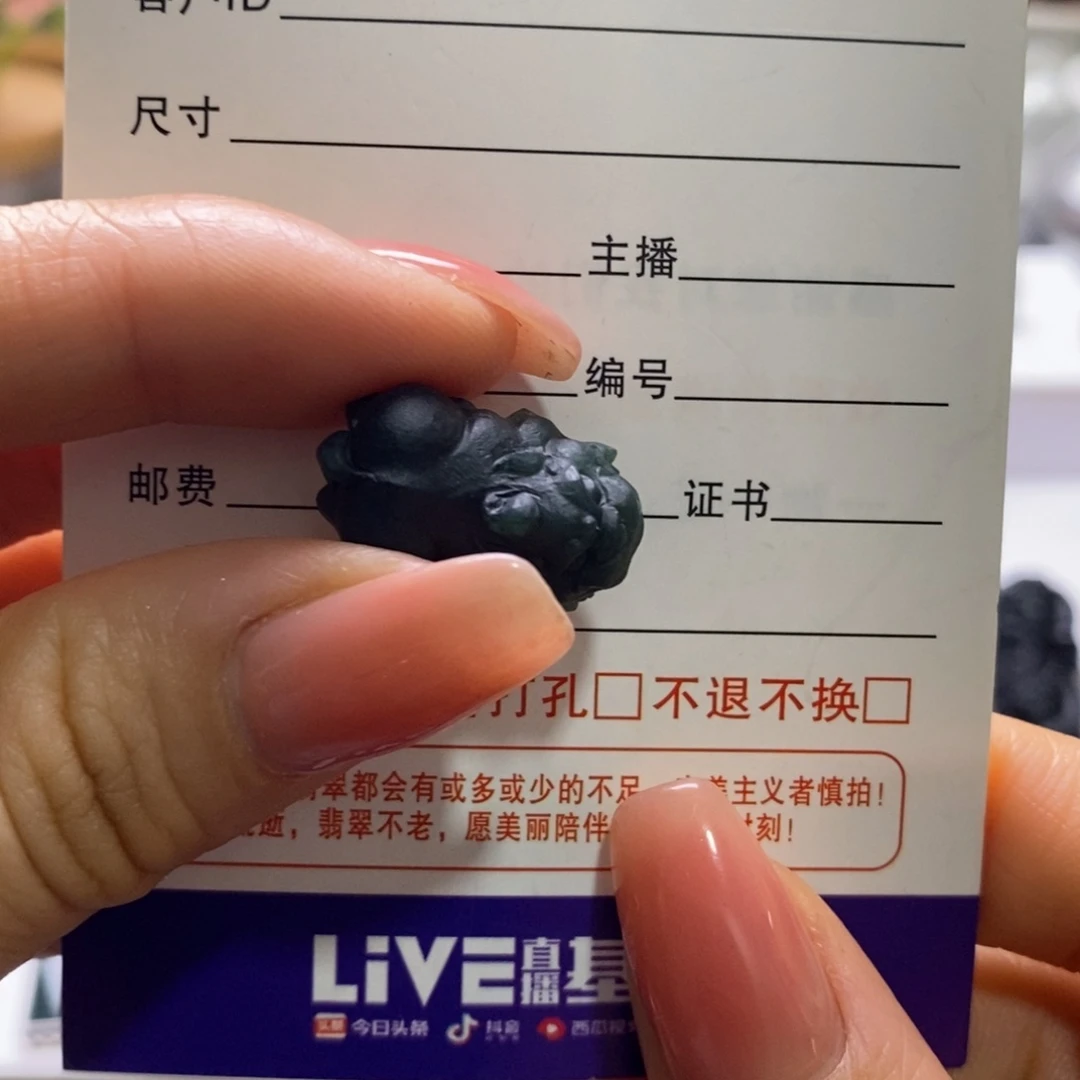 定制翡翠未镶嵌貔貅吊坠天然A货墨翠