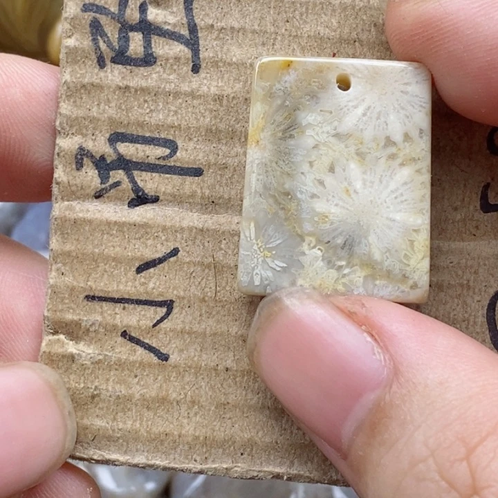 颈饰未镶嵌硅化珊瑚（珊瑚玉）灯**珊