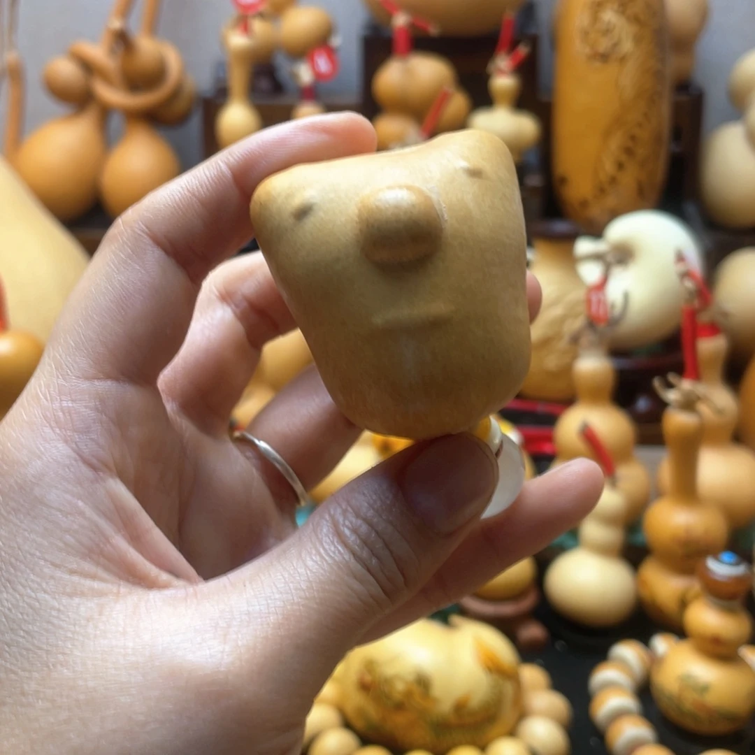 张大自然的秘密第十一节人类文明