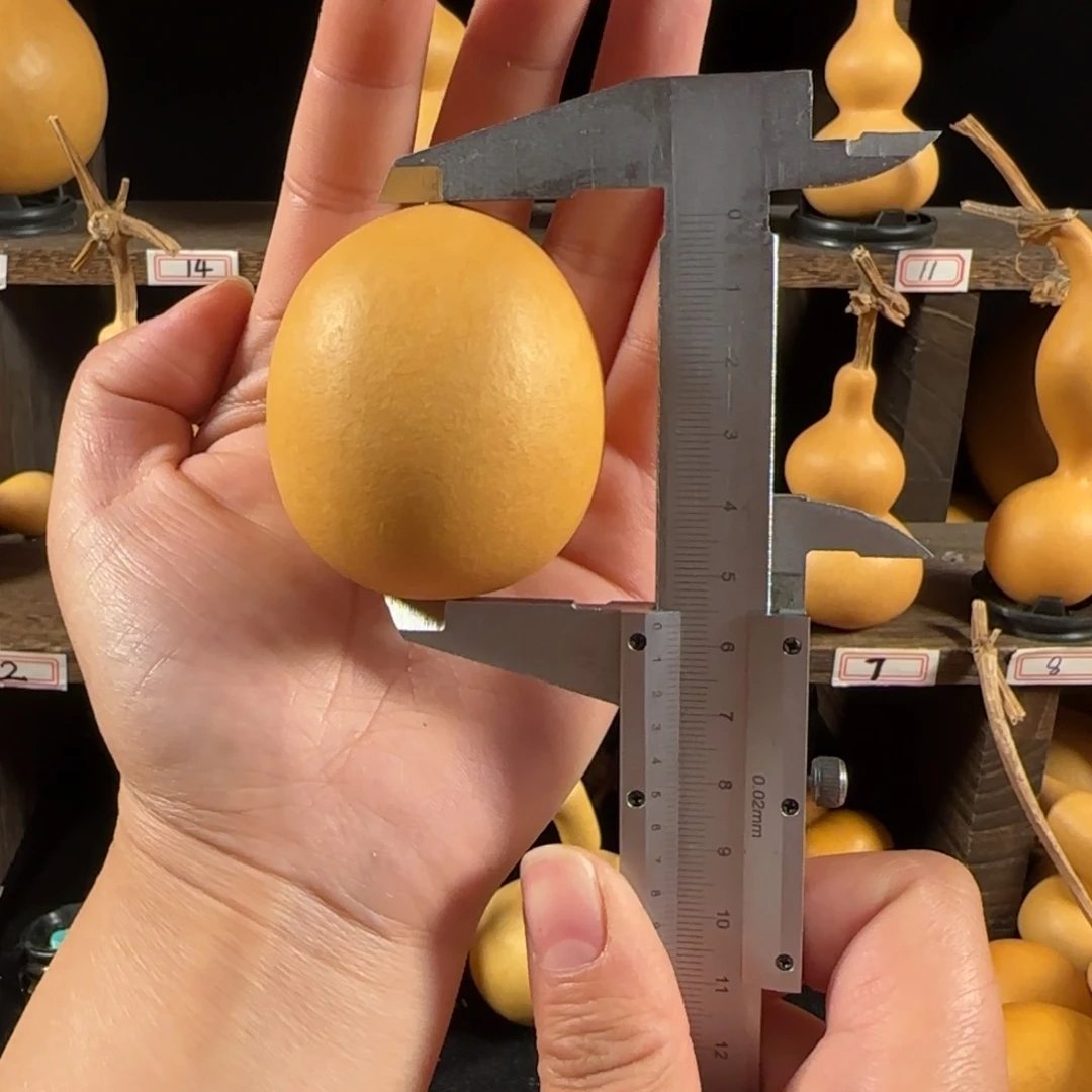 暴*熊葫芦葫芦葫芦葫芦葫芦