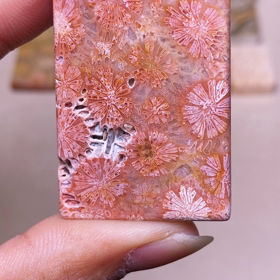 R****硅化玉合金珊瑚玉