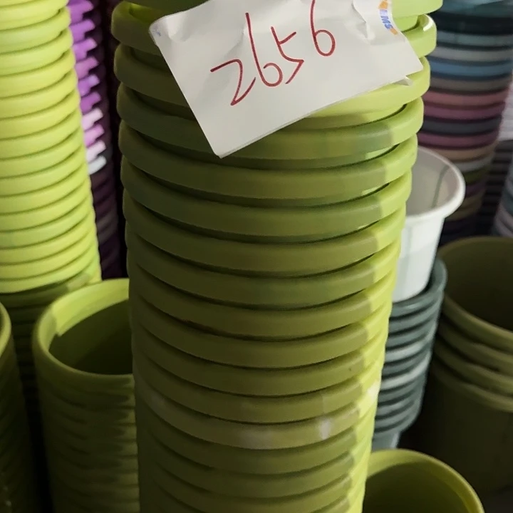 编号2656果绿无托10个