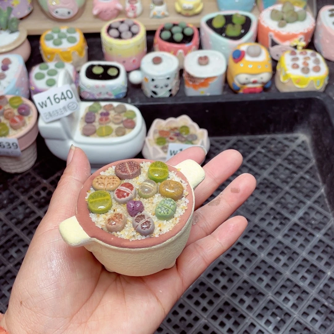 w1642 -零下地区拍保温箱-15支持寄养