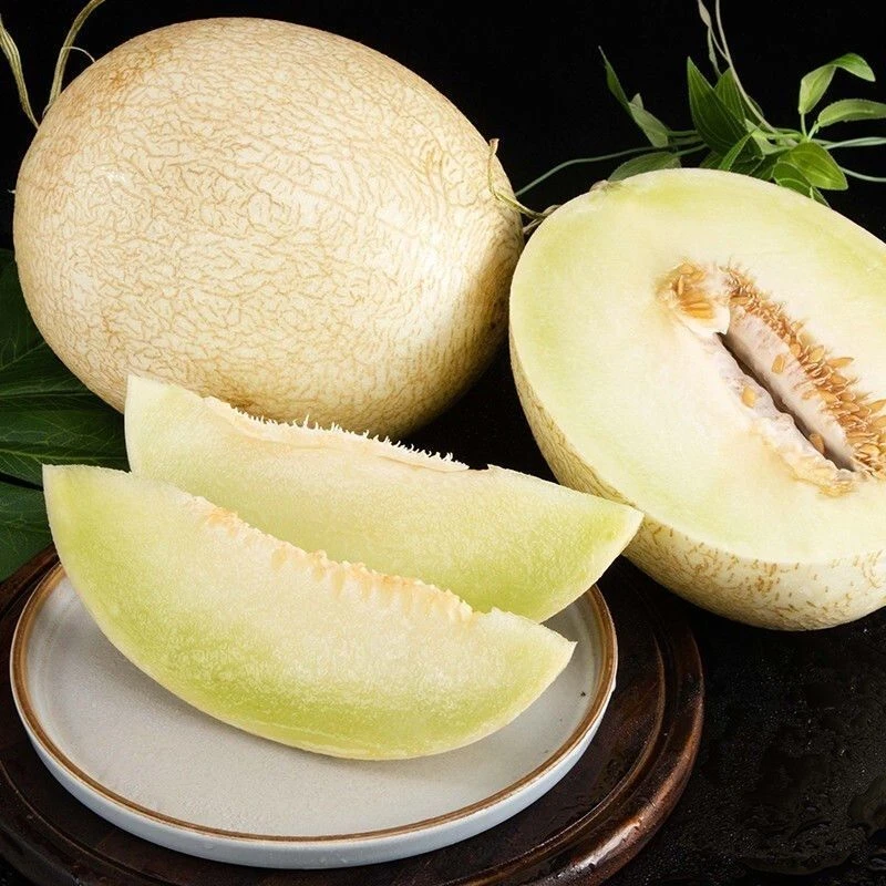 甘肃银蒂蜜瓜白兰瓜软糯香甜果肉细腻京东/顺丰快递随机