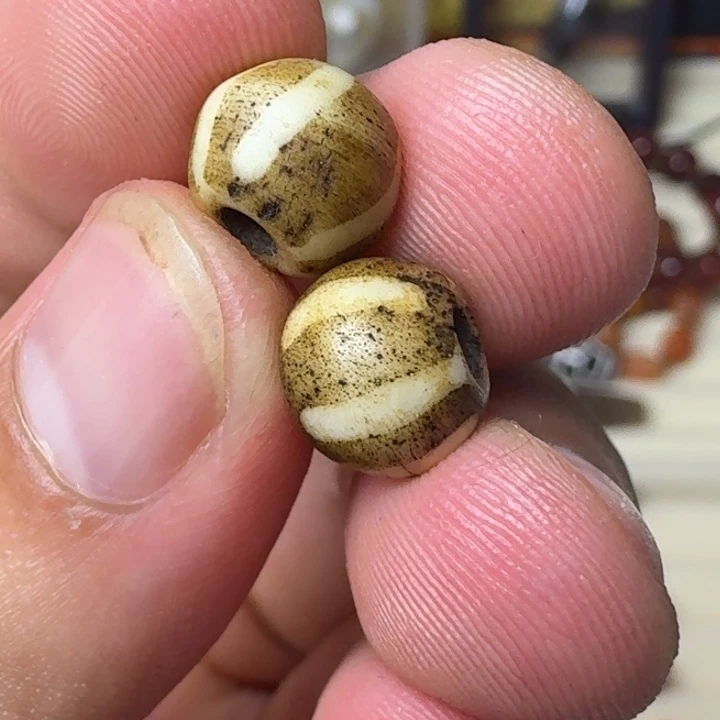 珠珠珠珠珠珠珠珠