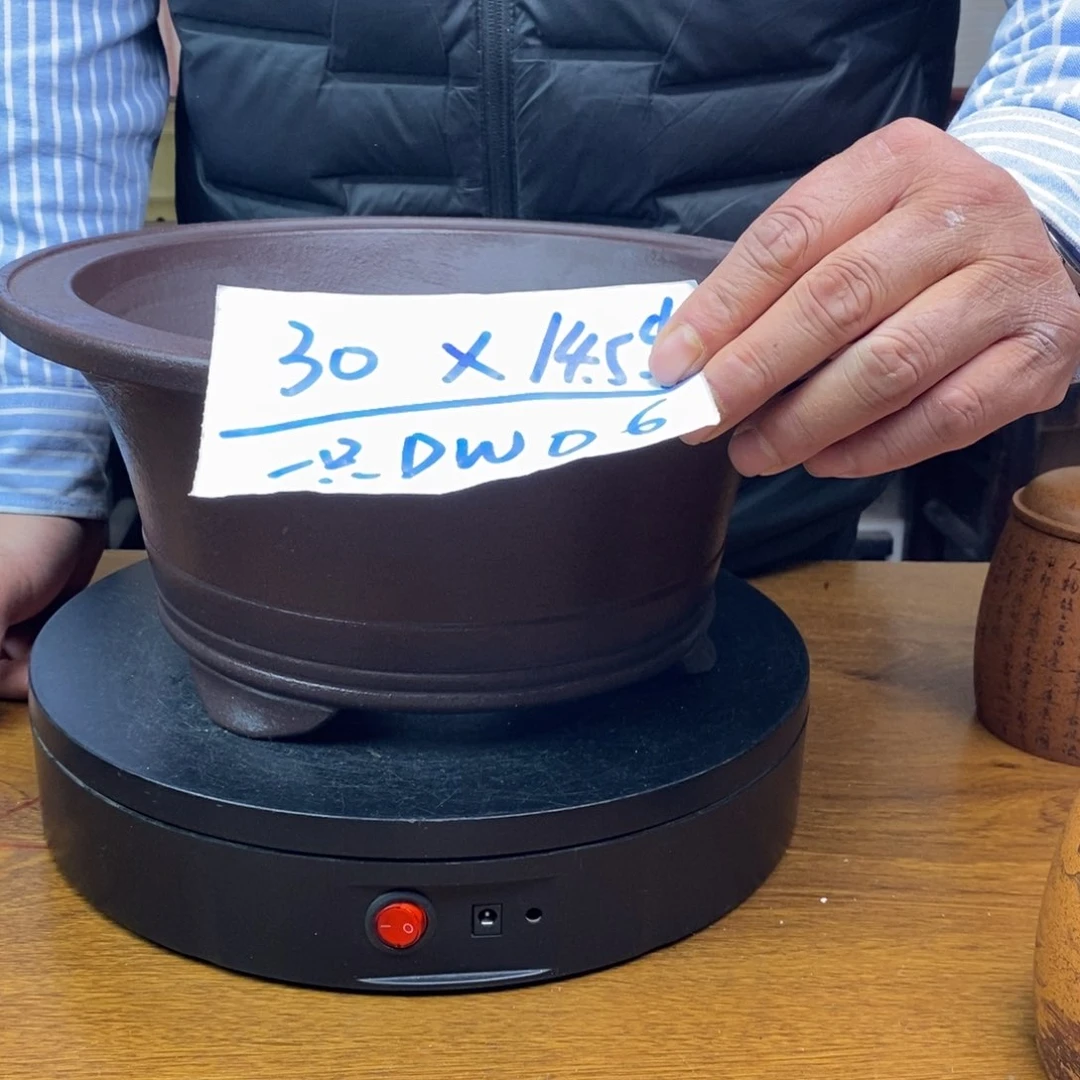 红陶货号一只DW06