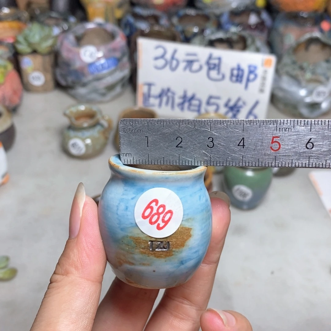拍5送一个小礼物