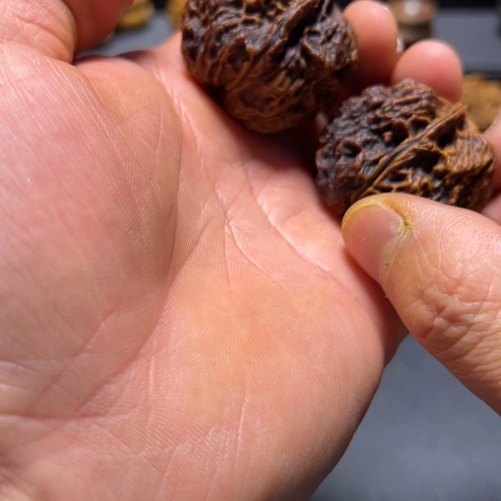 文玩核桃把件B上古苍龙39mm