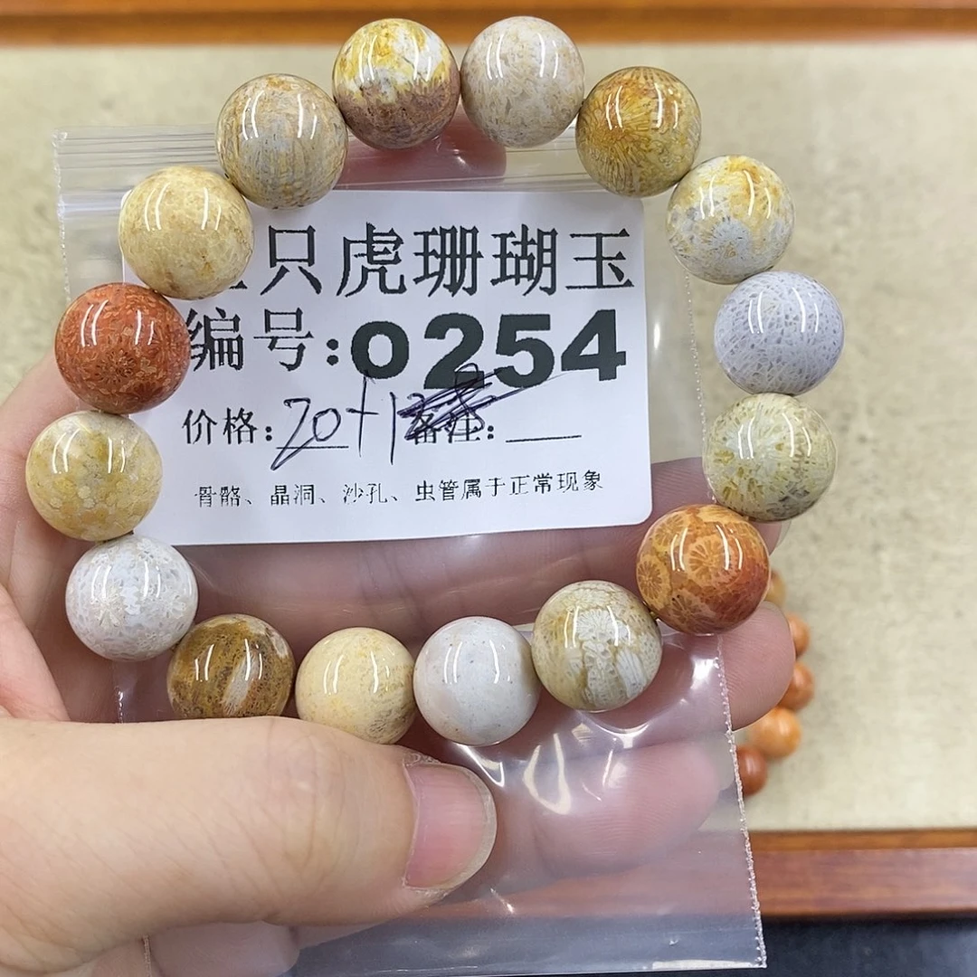 硅化珊瑚（珊瑚玉）1未镶嵌女***娆