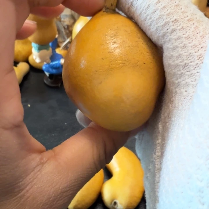 1***道66……………………………………