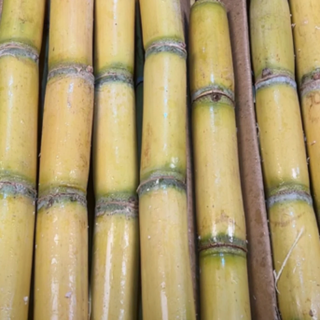 （同城配送）甘蔗一颗去皮