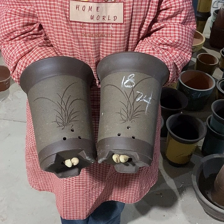 紫砂花盆紫砂花盆