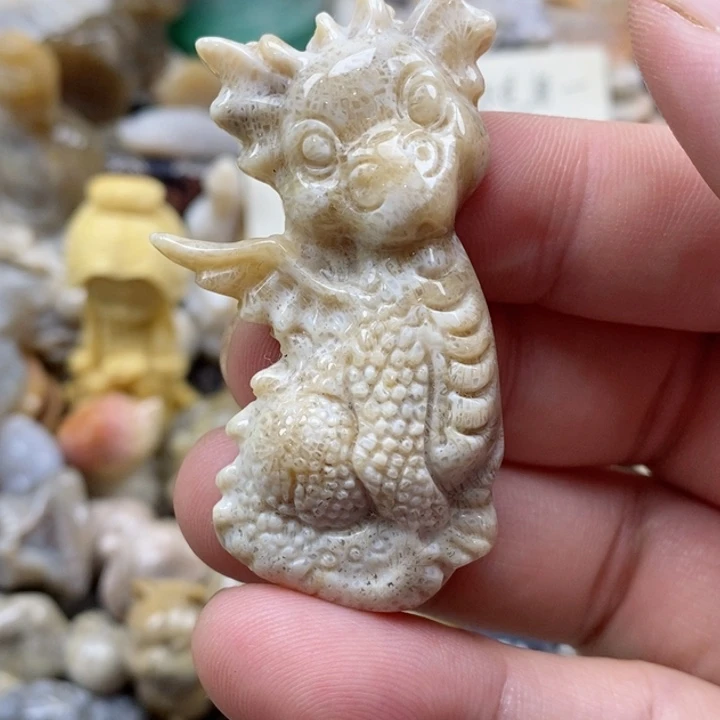 颈饰未镶嵌硅化珊瑚（珊瑚玉）