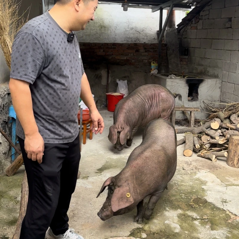 大山里黑猪带骨后腿肉