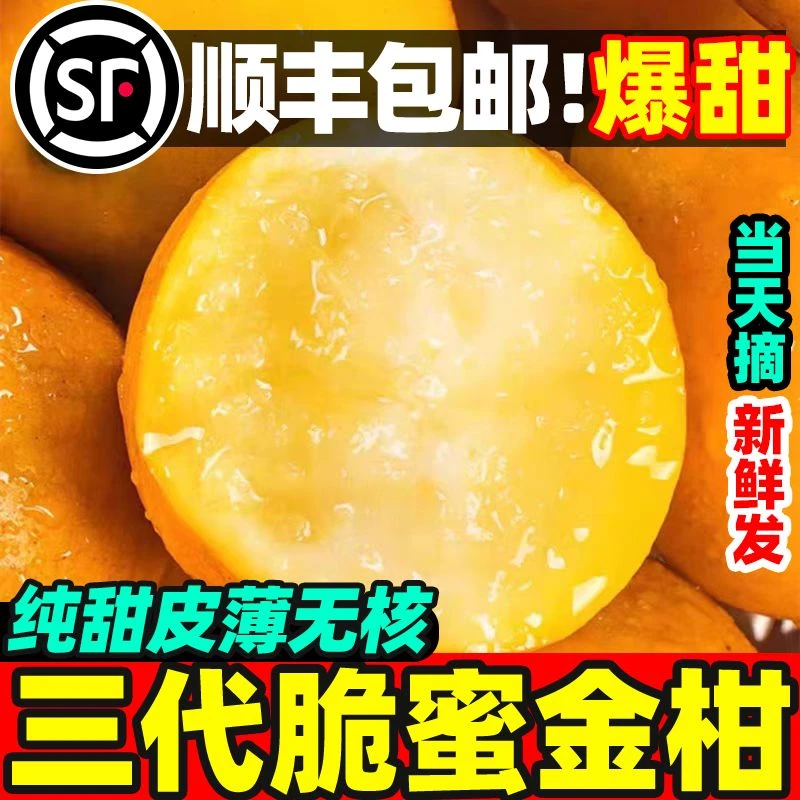 【3斤果王】正宗广西融安三代脆蜜金桔鲜果当季水果新鲜现摘批发广西壮族自治区