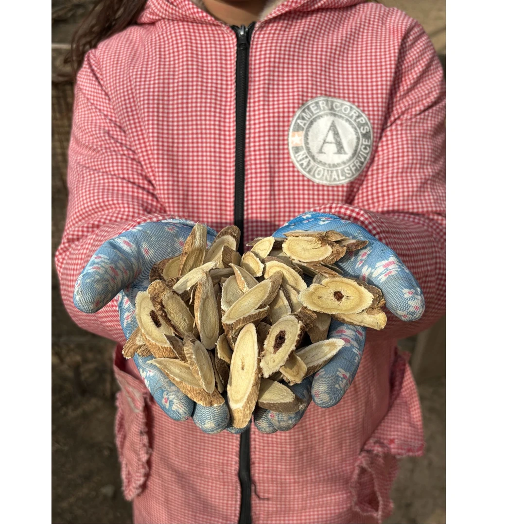 【老黄芪】深山高海拔无硫熏老黄芪甘肃岷县产地直发 (包邮）