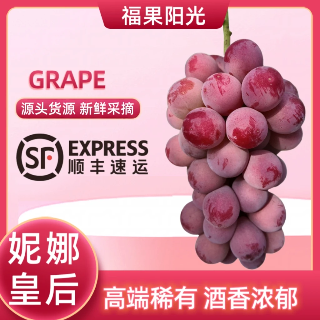 新鲜无籽妮娜皇后葡萄精品大果饱满多汁顺丰包邮