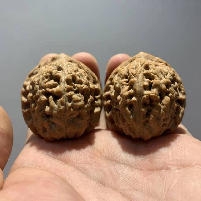 【中国涞水麻核桃协会】9 G43320-小众核桃-尺寸36mm