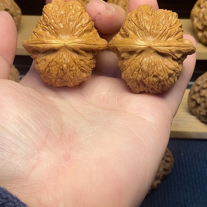 核桃43血麒麟福利核桃