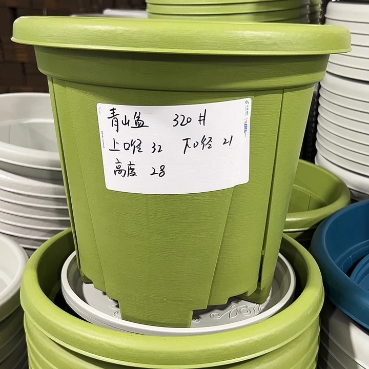 正品青山盆口32高28果绿色无托5只