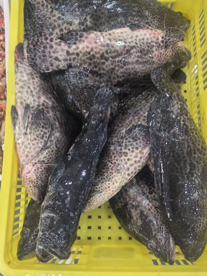 老虎斑 直播间现称  顺丰到家