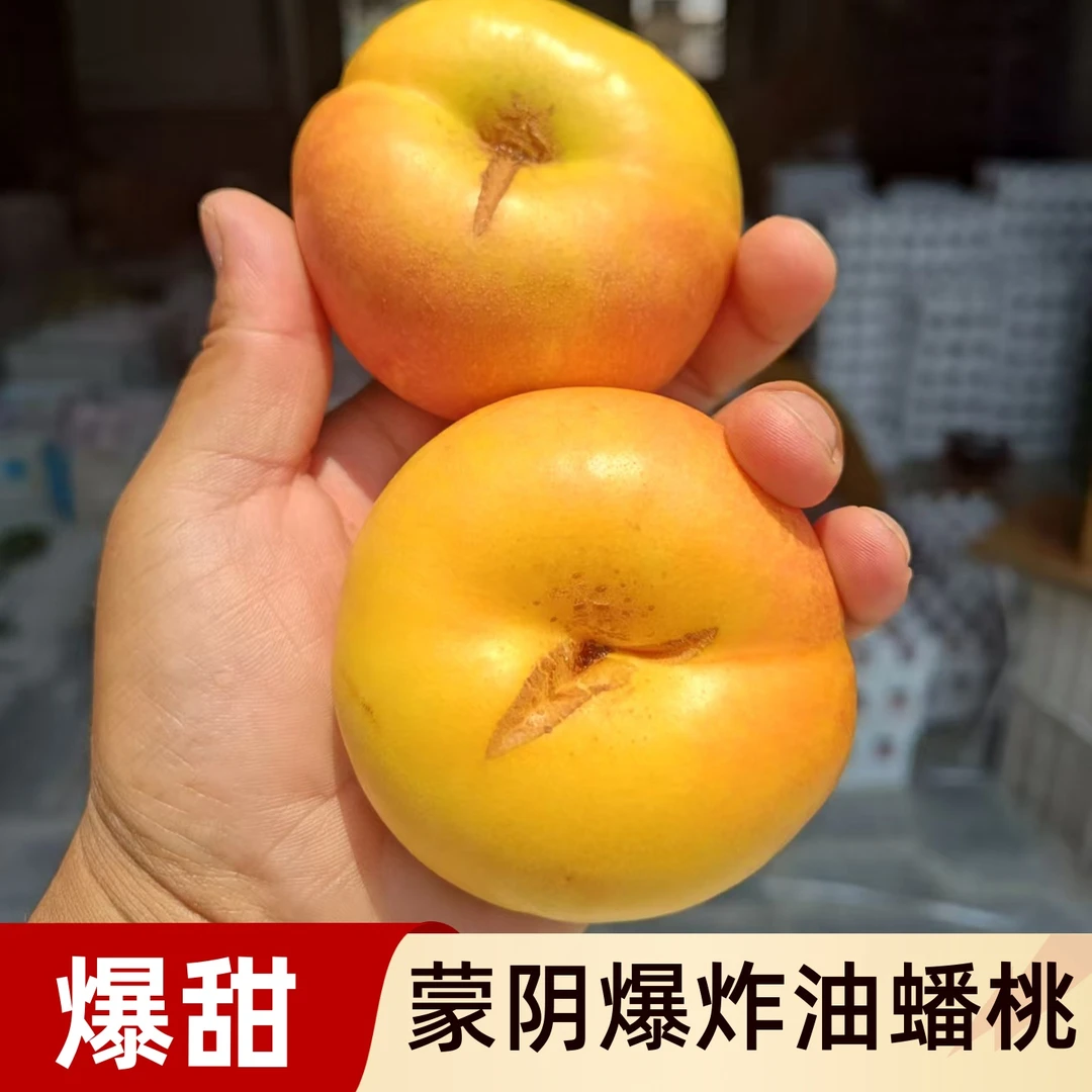 【京东包邮】山东蒙阴爆炸彩虹油蟠桃新鲜应季皮薄甜嫩多汁水果