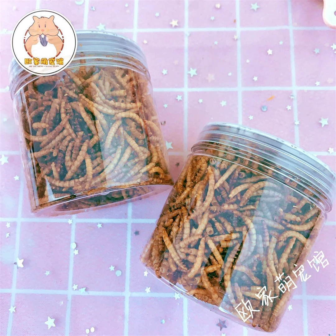 面包虫干蝴蝶鱼观赏鱼锦鲤鱼金鱼饲料鱼食高蛋白通用上浮型龙鱼食