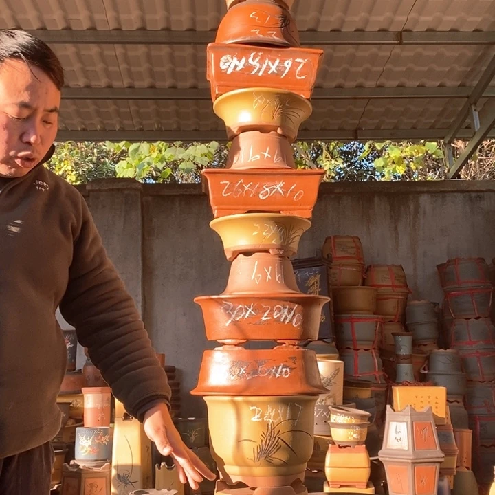 紫砂花盆紫砂花盆