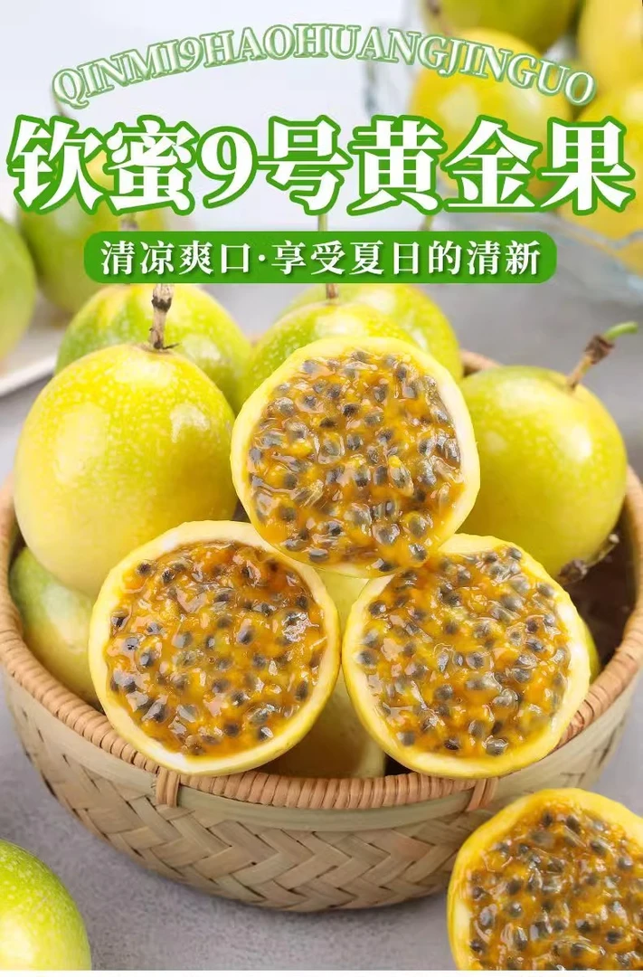 贵州钦密9号百香果