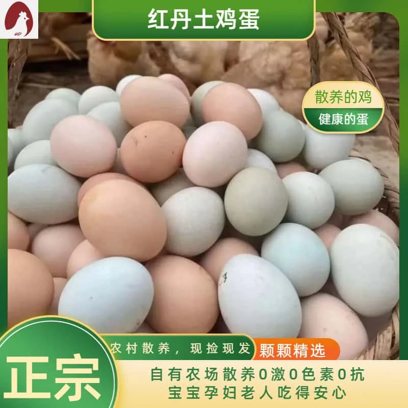 农村散养土鸡蛋走地鸡柴鸡蛋无抗孕妇宝宝辅食健康养生营养推荐