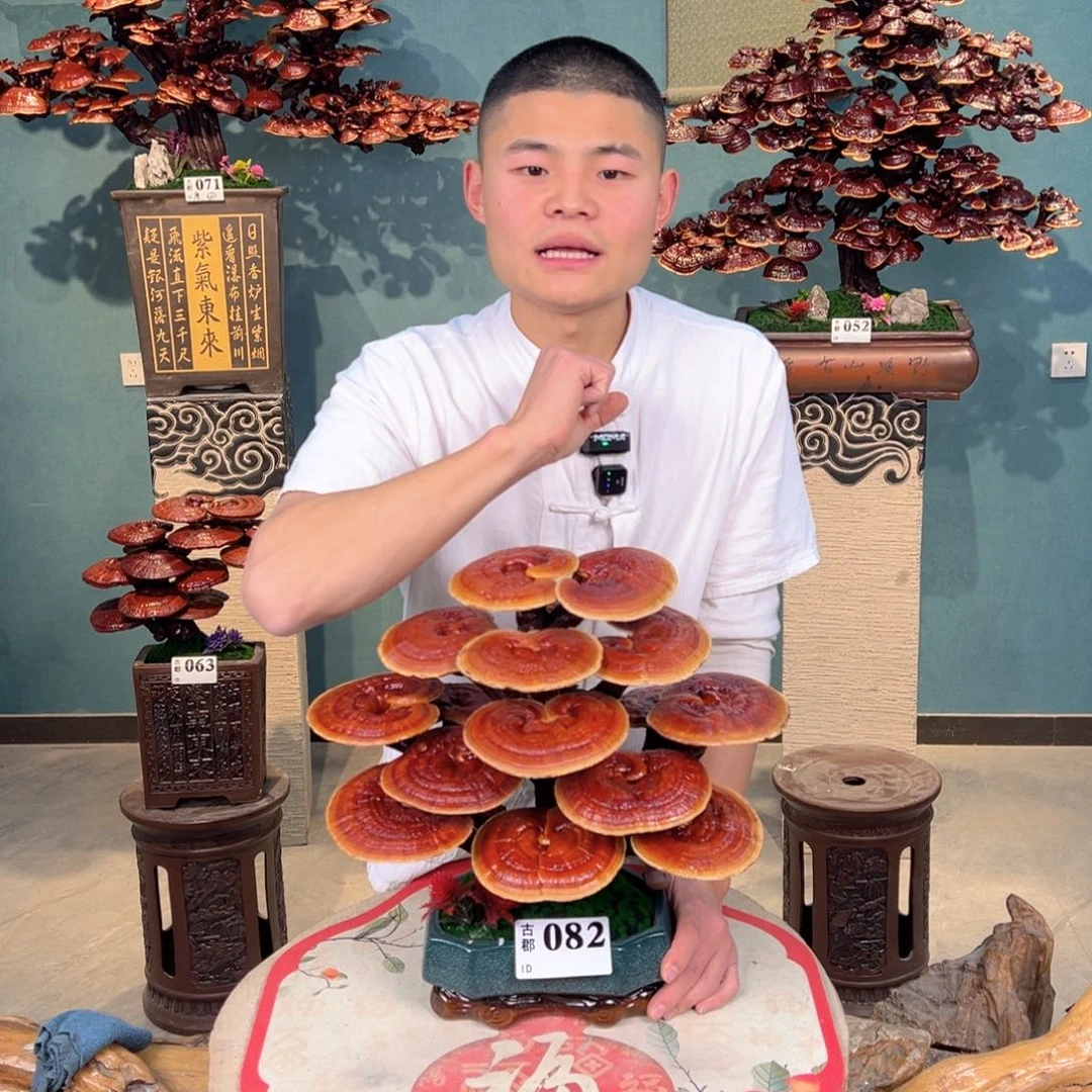 无花朵888555888888