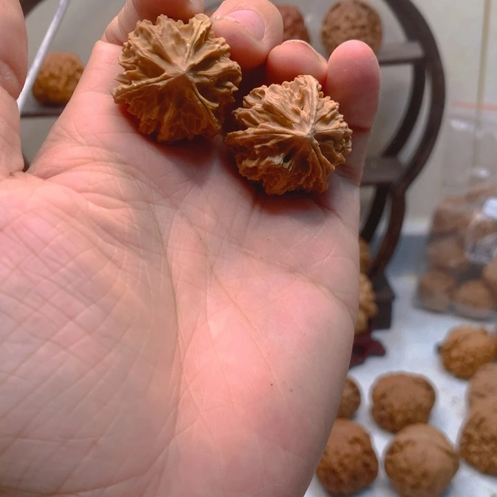 性***螂文玩核桃吊坠小奔