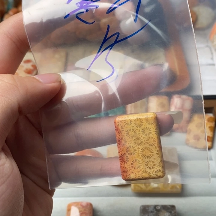 寒***玄硅化玉未镶嵌珊瑚玉