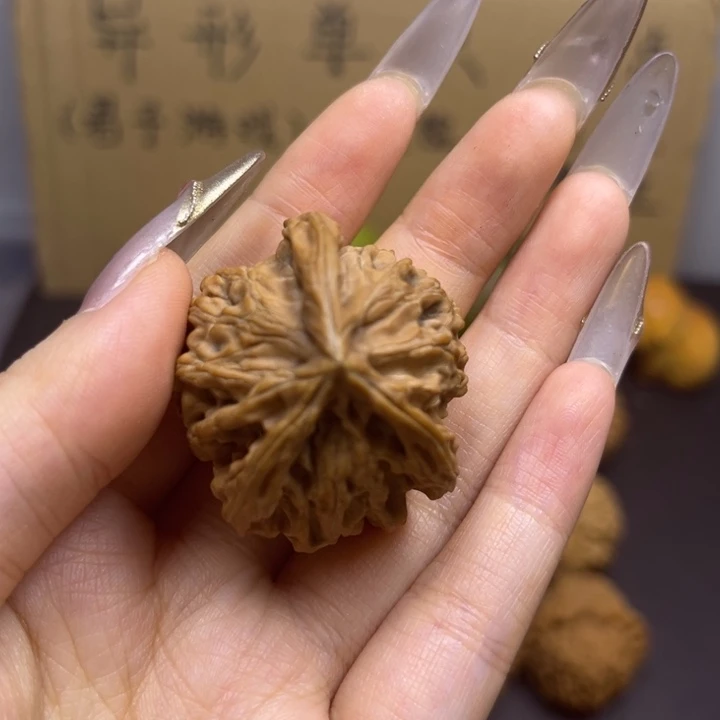 飞***觉菩提籽类三棱单只异型