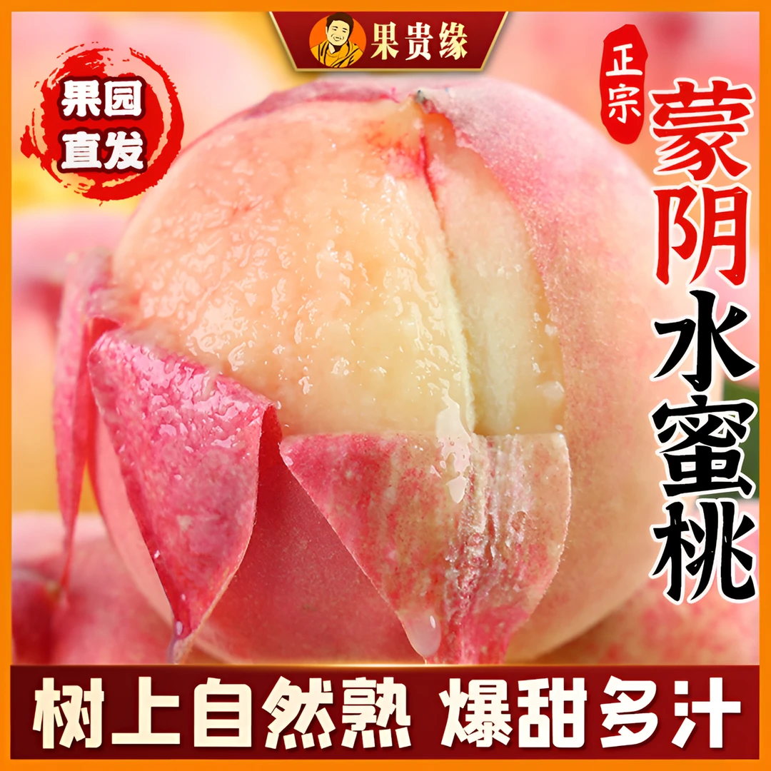 【树上熟】新鲜水蜜桃皮薄多汁香甜毛桃脆甜软汁爽口采摘新鲜水果