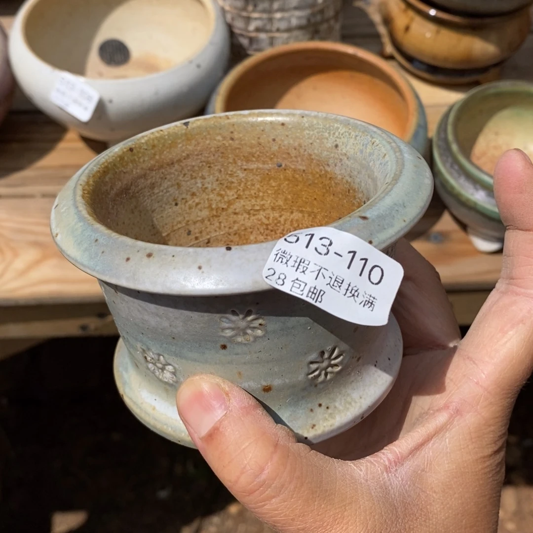 向*花110号多肉盆一个呀