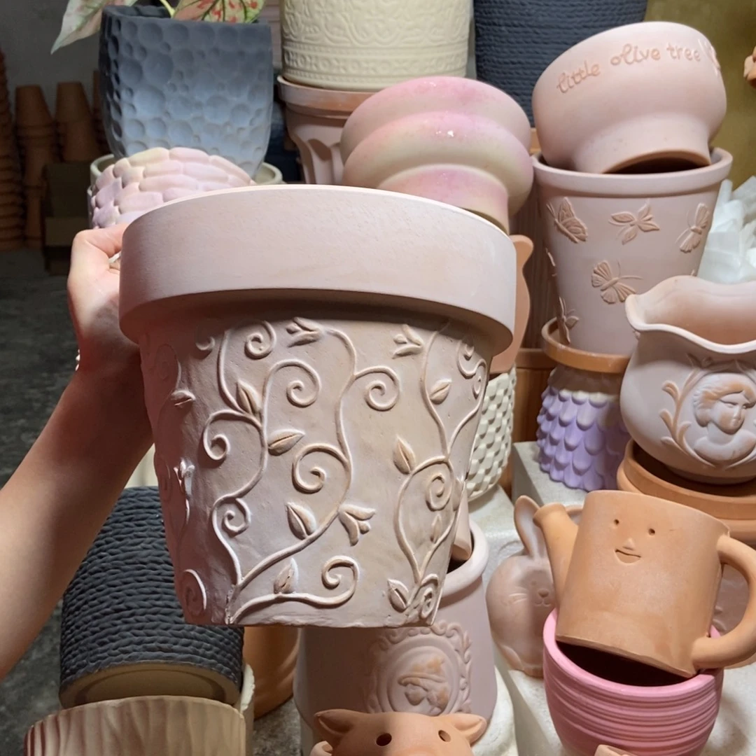 20×19雾化国际钩藤1个