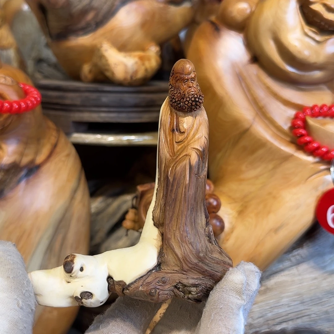 柏木（崖柏）66666666