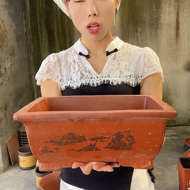 紫砂花盆32花盆花盆花盆花盆花盆