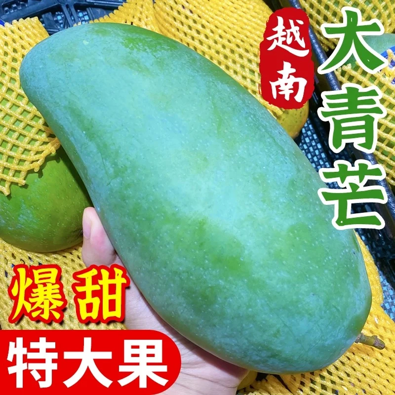 正宗大青芒香甜多汁核薄肉厚当季新鲜热带孕妇水果产地直发