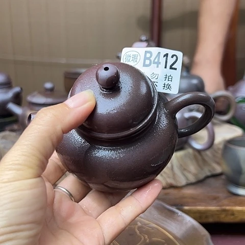 念****戬谷龙窑柴烧茶壶412
