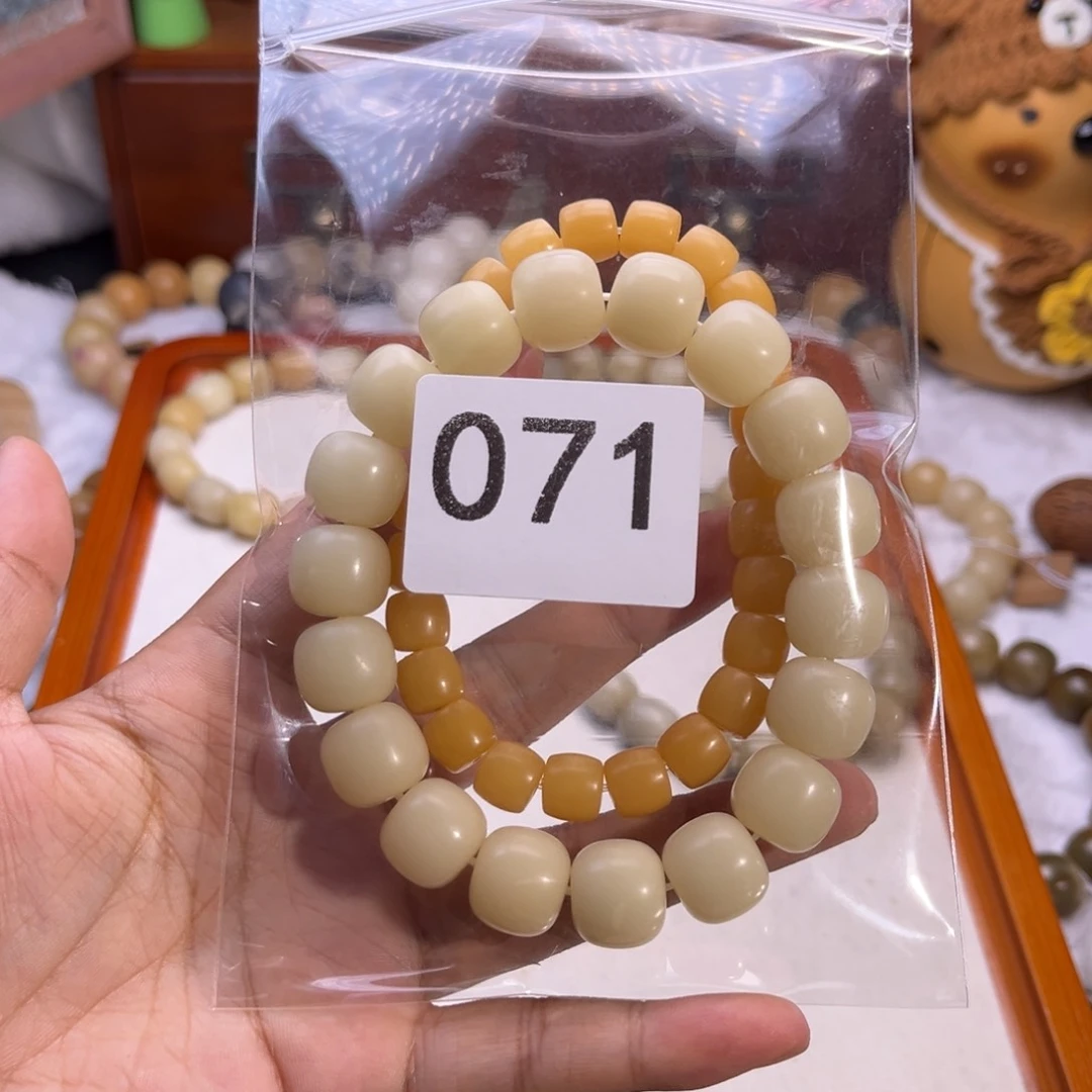 吊坠菩提根/象牙果苗*?双拼071