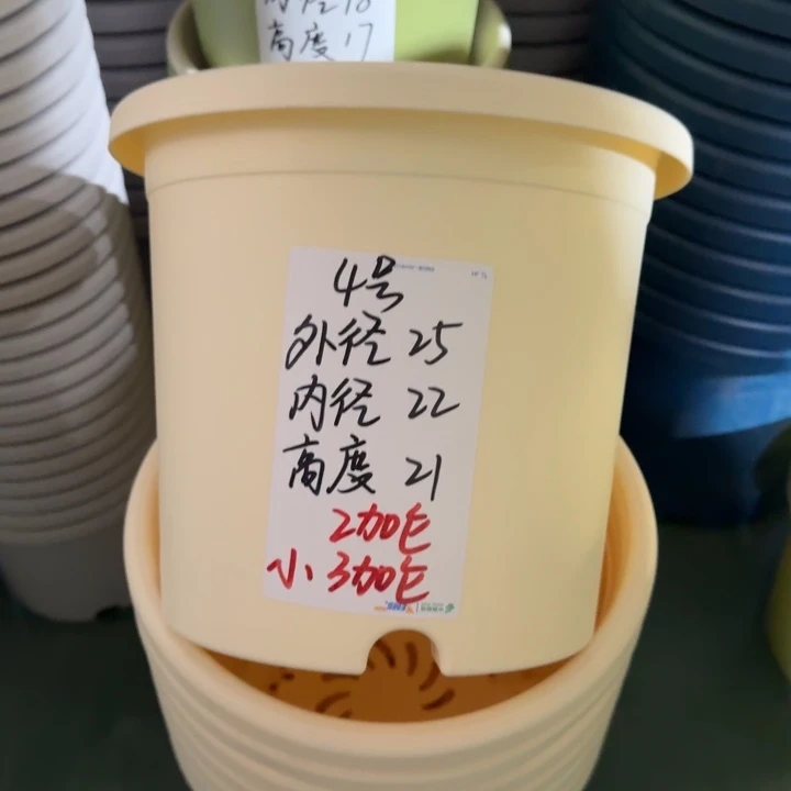 微瑕4#米黄8个无托