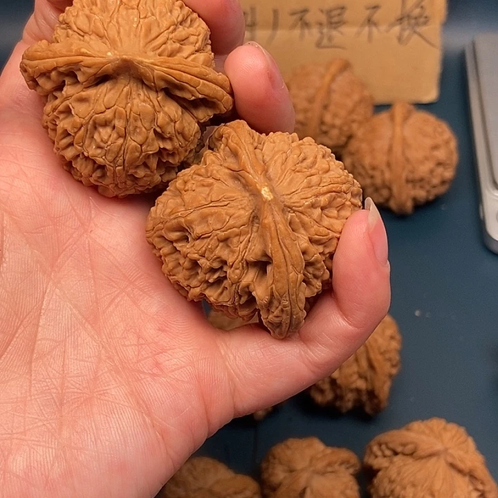 小***嘻大大大大大大水龙