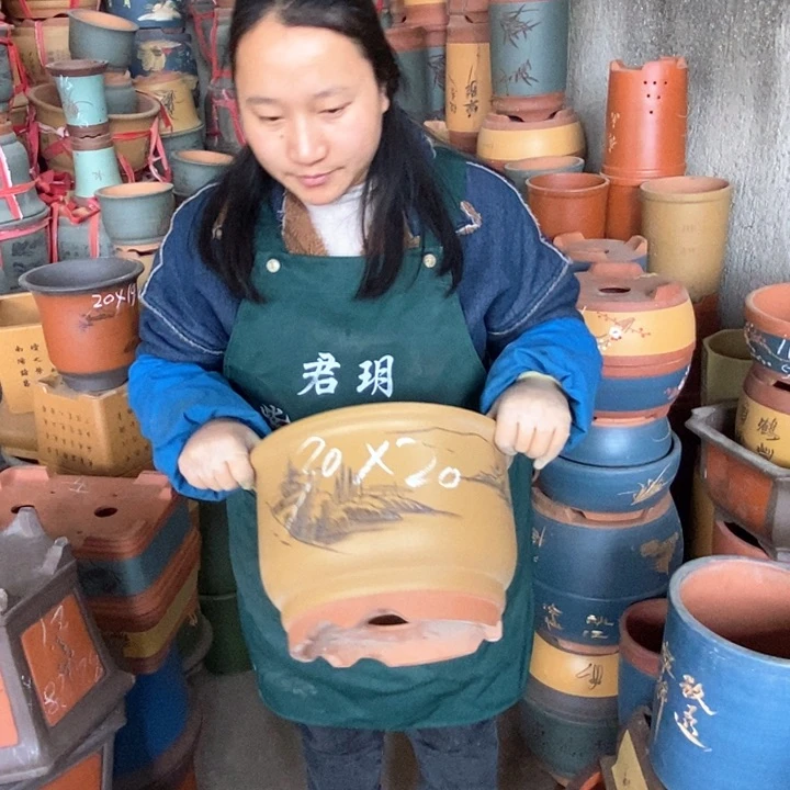 紫砂花盆盆栽花卉苗木种植