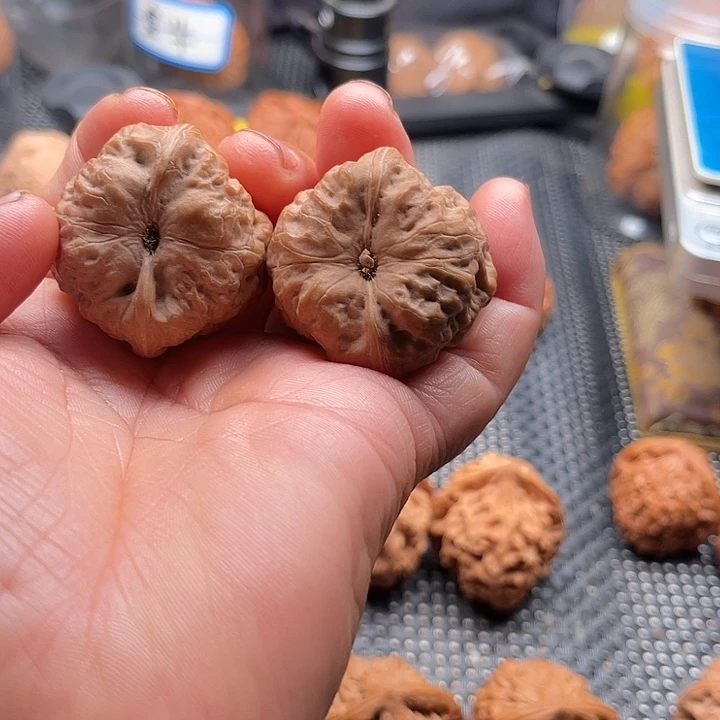 把件桃核全品三角蝉蝉38肚38