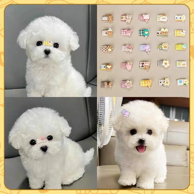 比熊发夹泰迪狗狗头饰不掉约克夏马尔济斯鼻梁夹配饰bb夹发卡夹子
