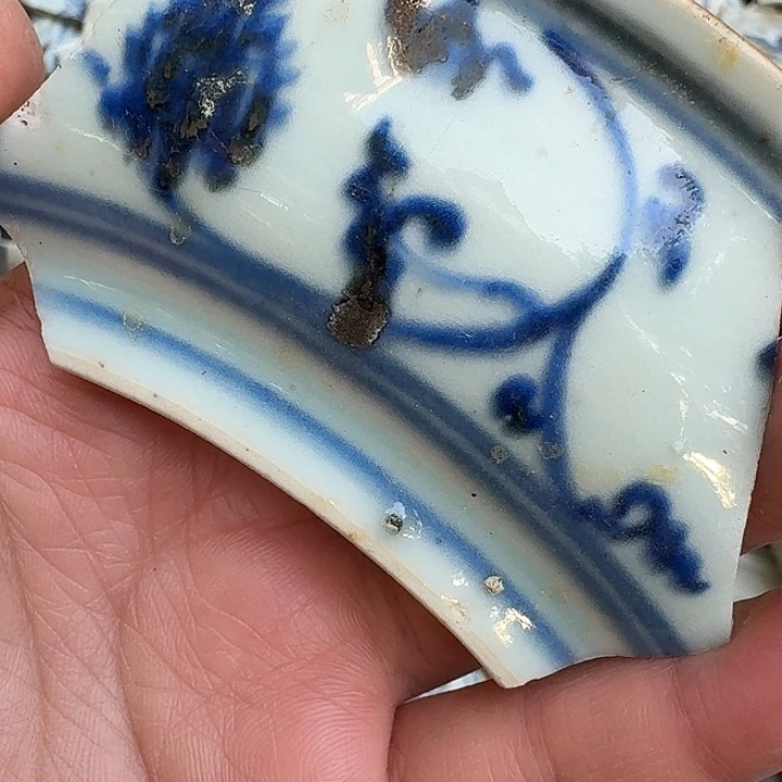 帅***可瓷片瓷片标本，顺丰包邮