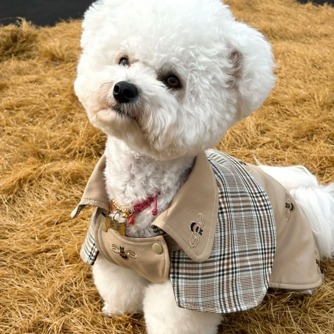 宠物衣服四季复古侦探斗篷英伦领带格子披风中小型犬泰迪博美衣服