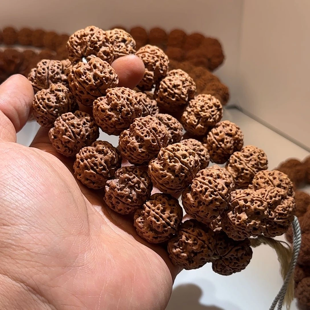金刚菩提手串五面龙24